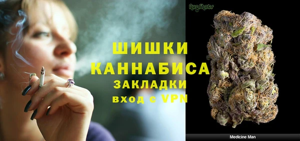 амф Верея