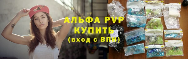 амф Верея