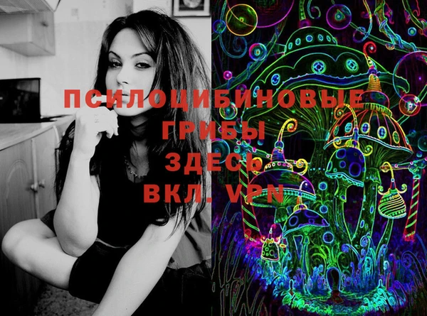 PSILOCYBIN Верхний Тагил