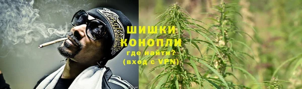 PSILOCYBIN Верхний Тагил