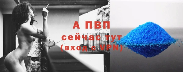 PSILOCYBIN Верхний Тагил