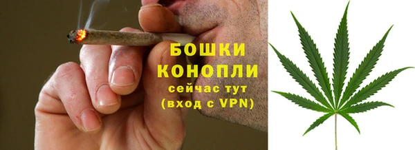 PSILOCYBIN Верхний Тагил