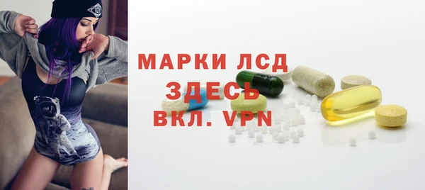 PSILOCYBIN Верхний Тагил