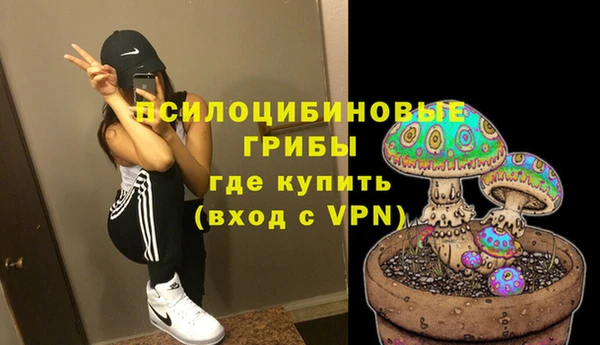 амф Верея