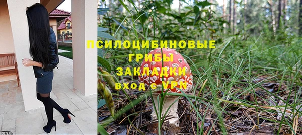 PSILOCYBIN Верхний Тагил