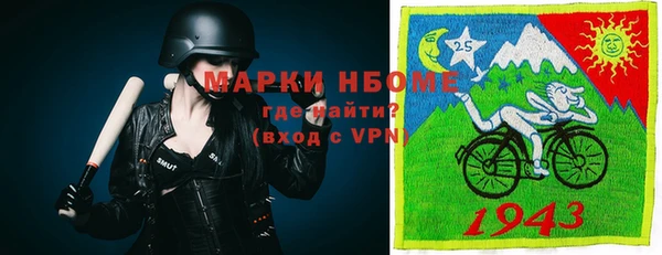 амф Верея