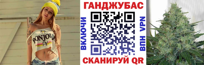 omg ссылка  магазин продажи   Георгиевск  Канабис семена 